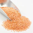 Organic Red Lentils